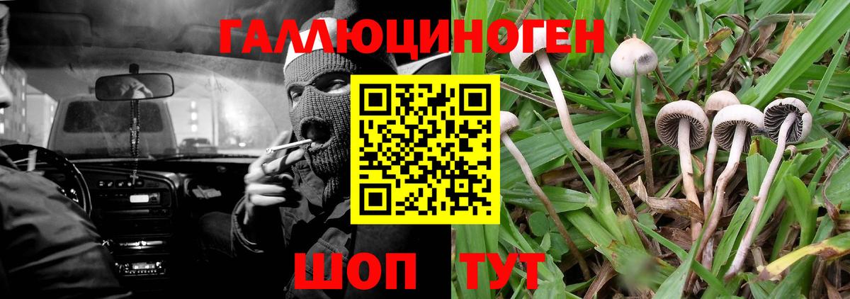 Галлюциногенные грибы прущие грибы  Вход с VPN  Рославль 
